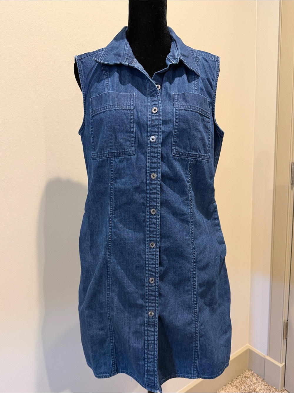 Banana Republic Sleeveless Dark Blue Denim Button-Front Mini Dress